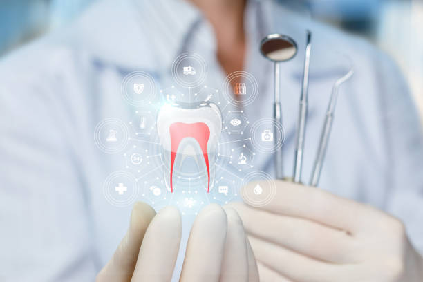 Trusted Kingston Springs, TN Dental Services Experts